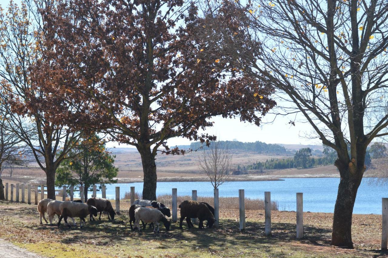 Dullstroom On The Dam Екстер'єр фото
